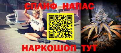 дмт Будённовск