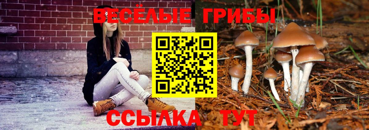 Псилоцибиновые грибы прущие грибы Корсаков