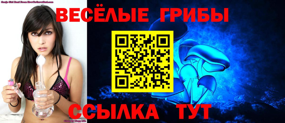 Корсаков  Псилоцибиновые грибы GOLDEN TEACHER  Вход с VPN  Галлюциногенные грибы Psilocybine cubensis 